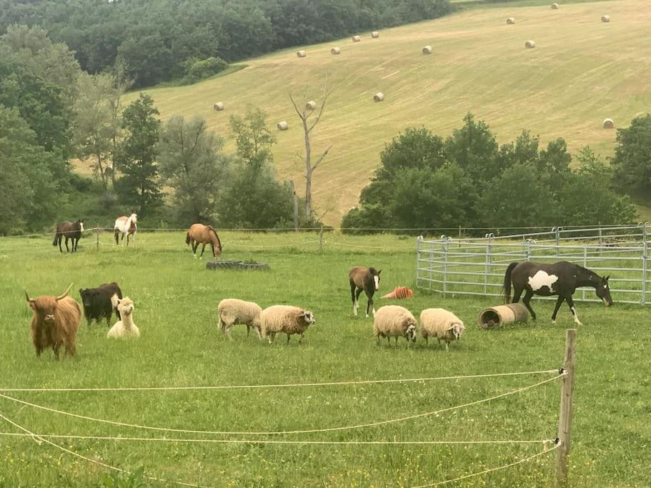 Gite A La Ferme Avec Jacuzzi Et Piscine Chauffee Saint-Felix-de-Tournegat Екстер'єр фото